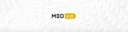 Medvidi