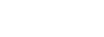 TEAM LEWIS